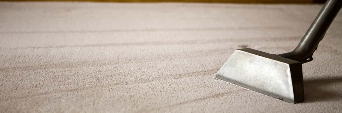 7 ways to keep your rugs clean when you have pets